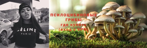 гашик Магадан