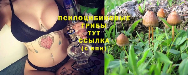 гашик Магадан