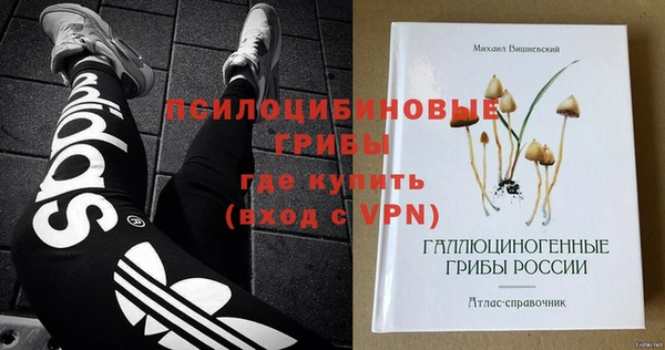 амф Медногорск