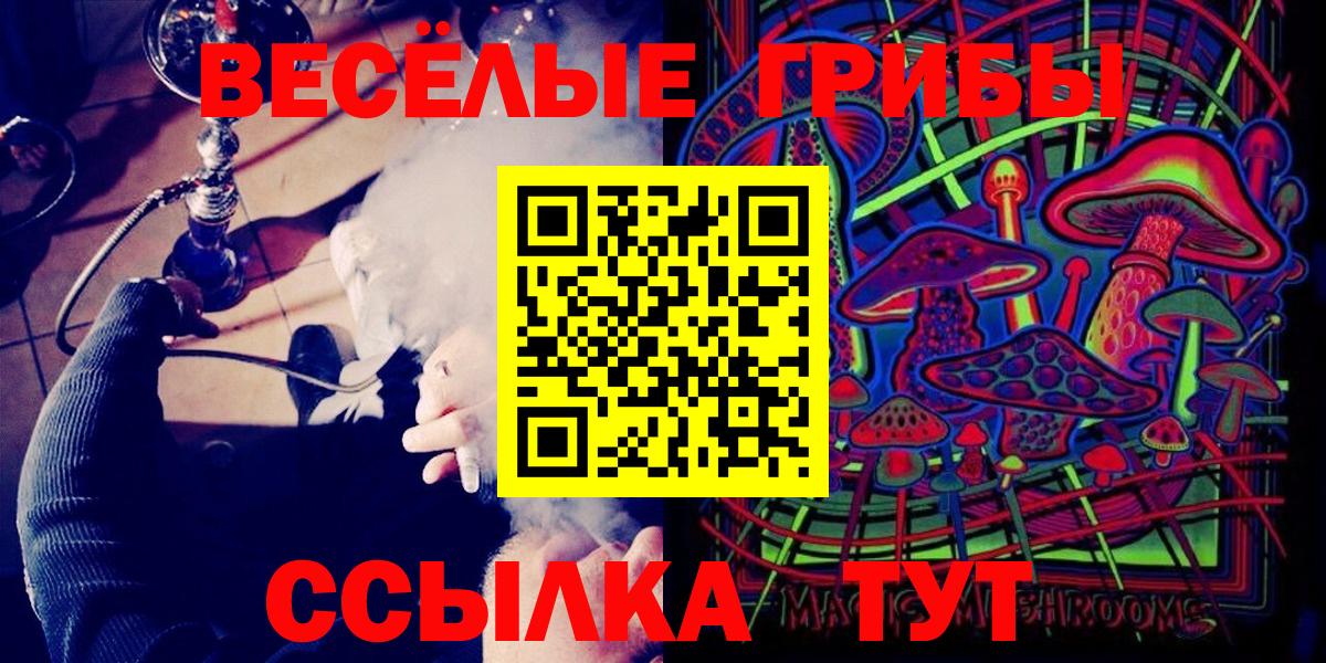 Галлюциногенные грибы прущие грибы  Лосино-Петровский 