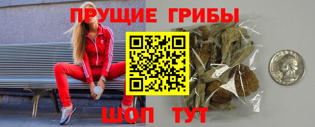 Псилоцибиновые грибы GOLDEN TEACHER Лосино-Петровский