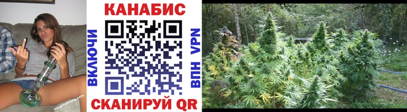 Конопля SATIVA & INDICA  дарнет шоп  Лосино-Петровский 